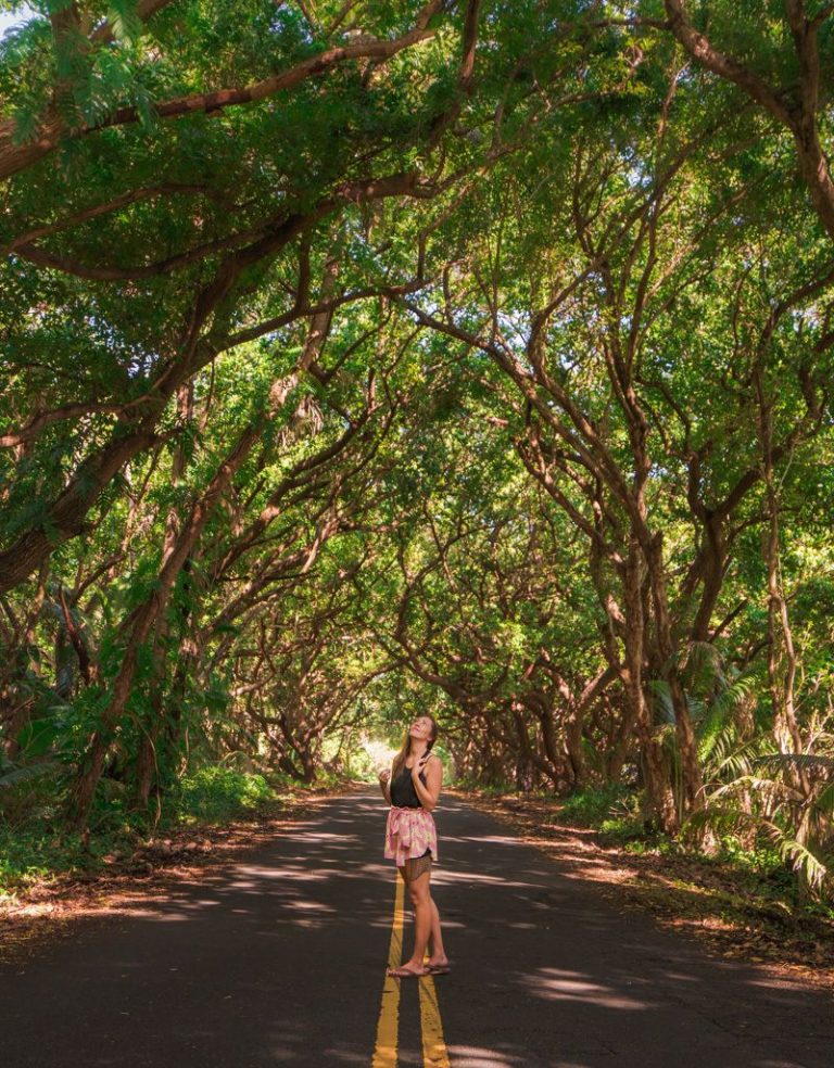 20 of Hawaii’s Most Beautiful Places