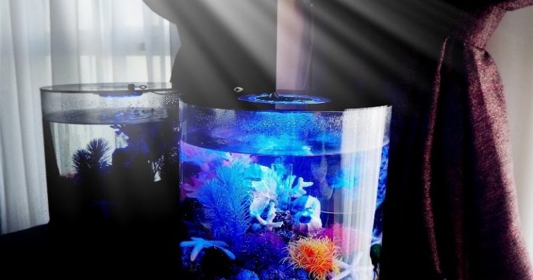 OASE biOrb Tube Aquarium with LED Lighting Review