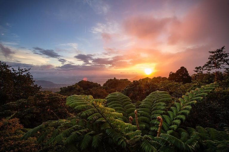 Top One Day Hikes Around Taipei