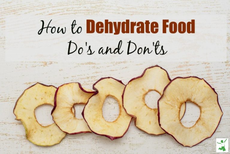 How to Dehydrate Food to Preserve Enzymes + Probiotics