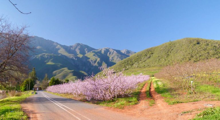 12 Top Safety Tips For a South African Road Trip