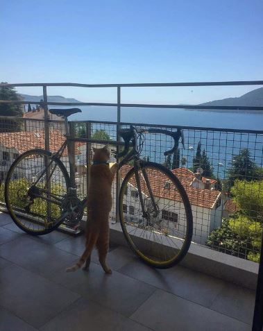 From France to Greece. A Summer of House Sitting Through Europe.