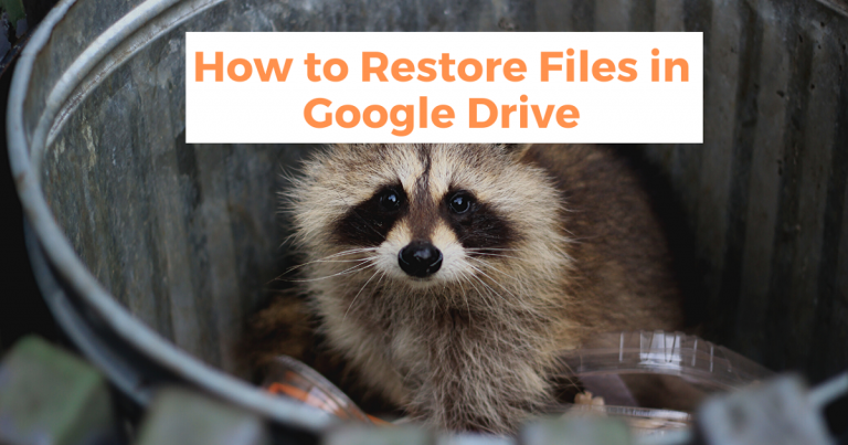 How to Restore Files in Google Drive