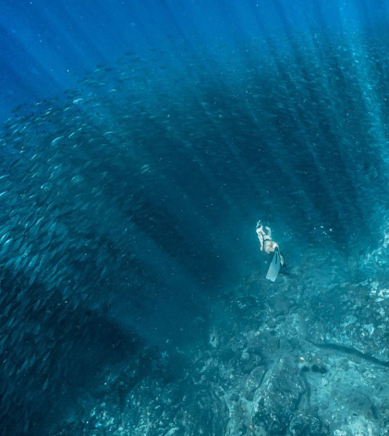 The Best Snorkeling on the Big Island of Hawaii