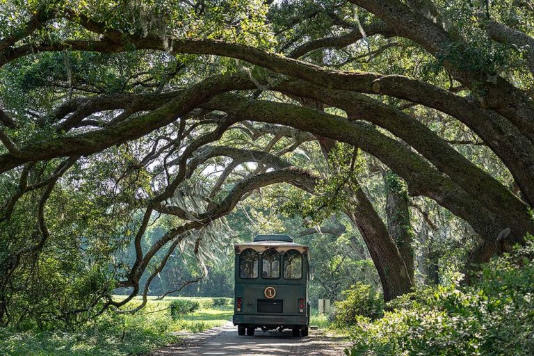 25 Free Things to Do in Charleston SC » Local Adventurer