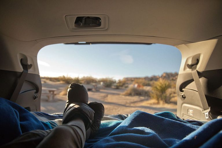 Joshua Tree Camping – What You Need to Know » Local Adventurer