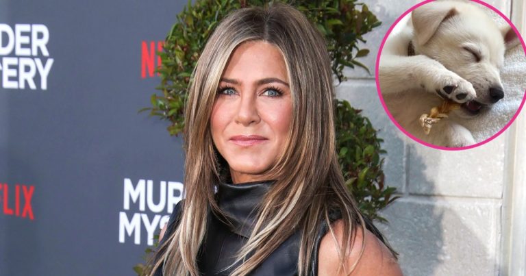 Jennifer Aniston Introduces New Rescue Puppy Lord Chesterfield