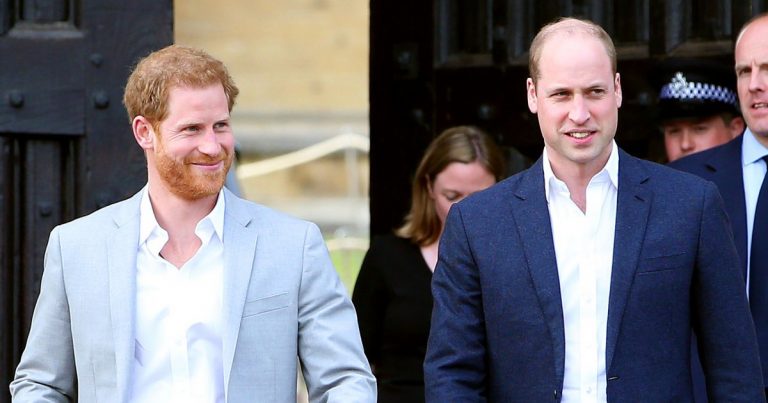 Prince William, Prince Harry Plan Reunion After Bombshell Interview