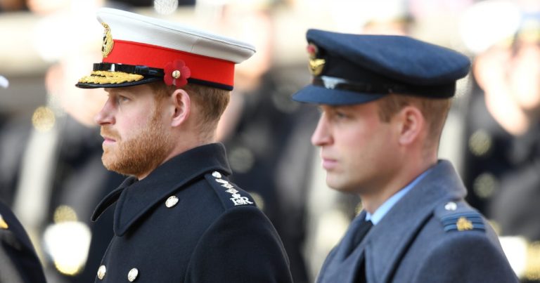 William, Harry Aren’t Walking Together at Philip’s Funeral