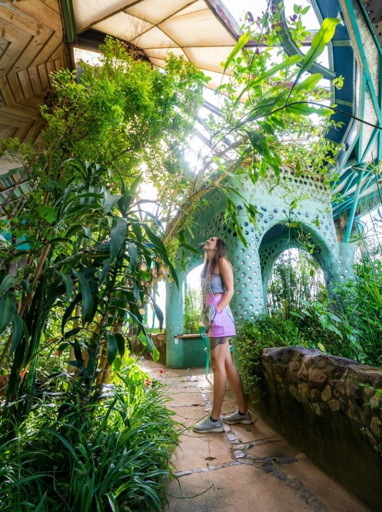 I Lived Off the Grid in a Desert Earthship