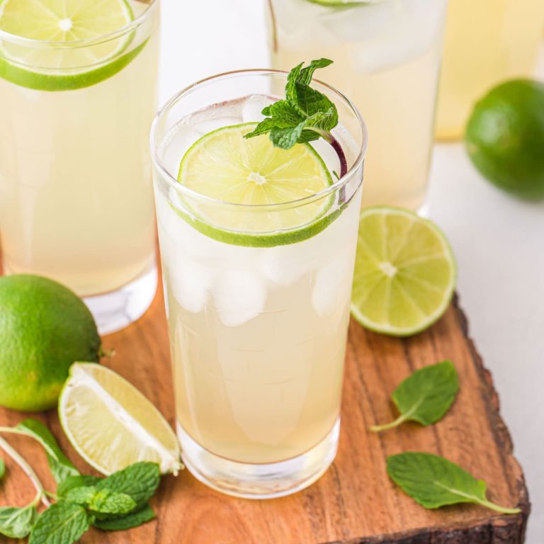 Fresh Limeade Recipe (no-prepare dinner!) – Fit Foodie Finds