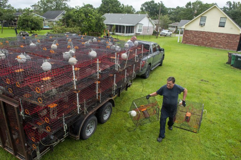 Louisiana braces for ‘life-altering’ Hurricane Ida