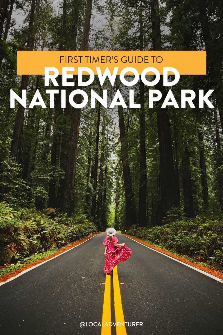 15 Epic Things to Do in Redwood National Park and State Parks » Local Adventurer » Travel Adventures in Las Vegas + World Wide