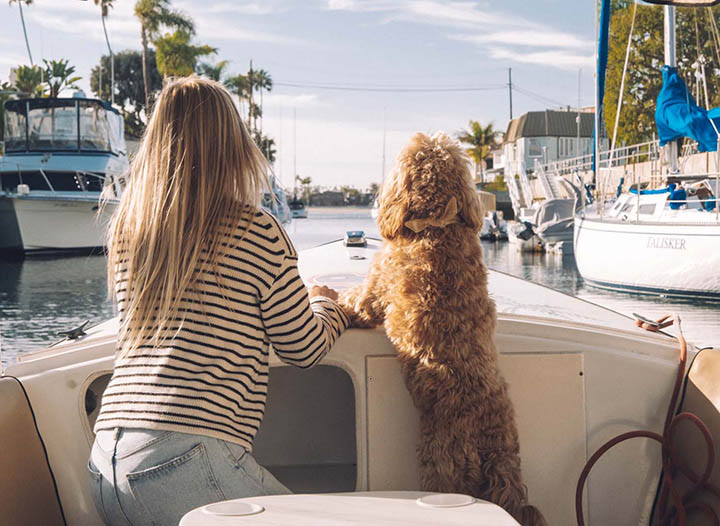 The Best Dog-Friendly Things To Do in Long Seashore, California • The Blonde Abroad