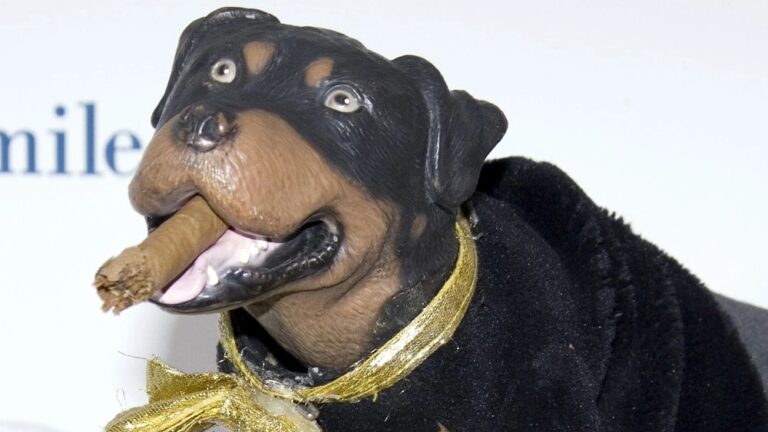 Colbert Crew Arrested At US Capitol After Taping Triumph the Insult Comic Dog Skit