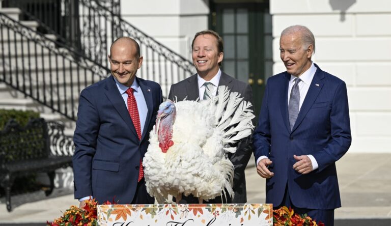 Biden Pardons National Thanksgiving Turkeys On His 81st B-Day