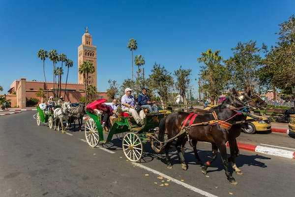 Getting around in Marrakesh – Lonely Planet