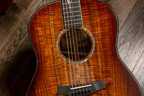 Taylor Custom Shop Guitars: What Makes Them Particular?