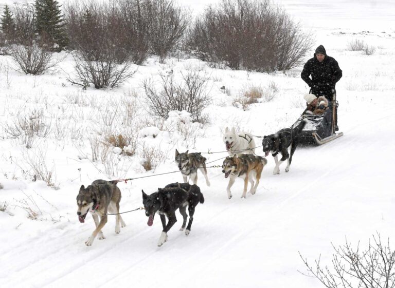 Top Things to Do in Banff & Lake Louise in the Winter • The Blonde Abroad