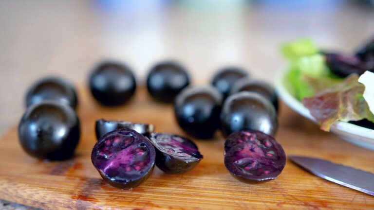 A genetically modified purple tomato can now be raised by home gardeners : Shots