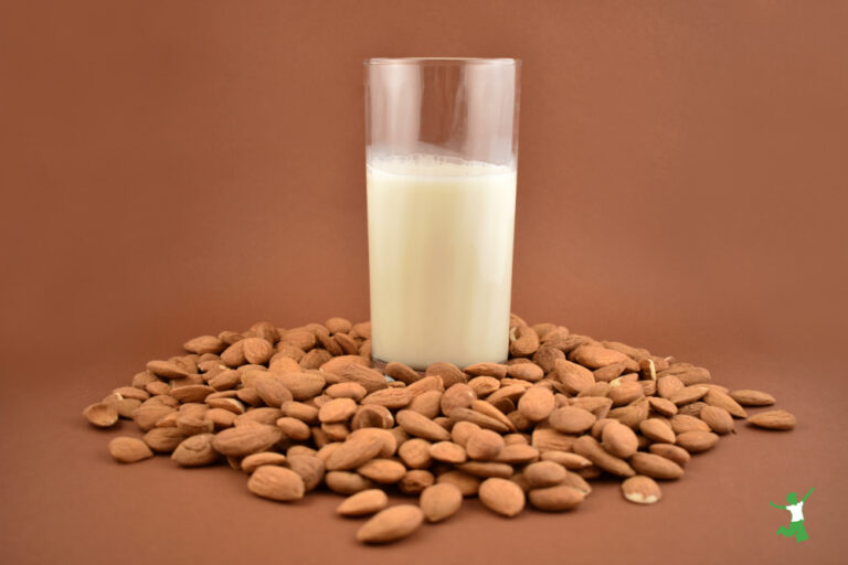 Sprouted Almond Milk | Healthy Home Economist