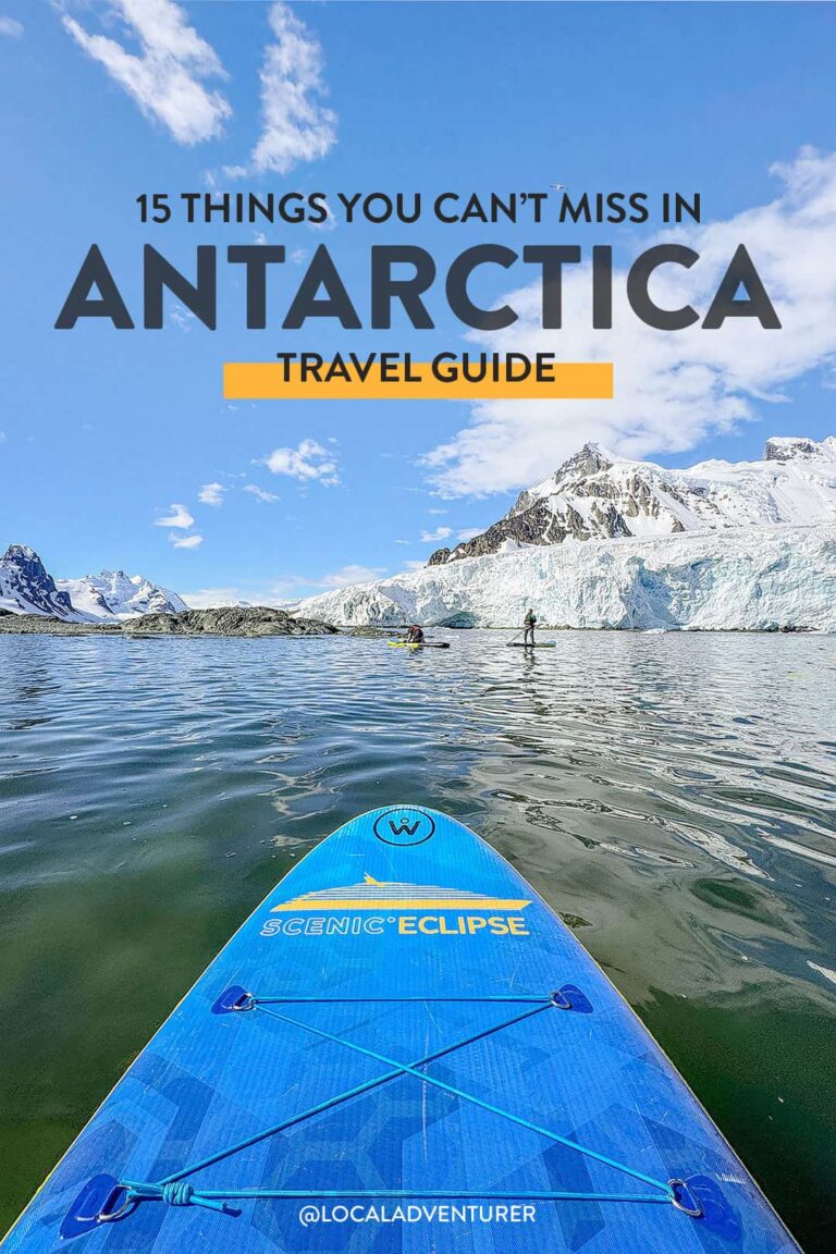 15 Epic Things to Do in Antarctica Travel Guide » Local Adventurer