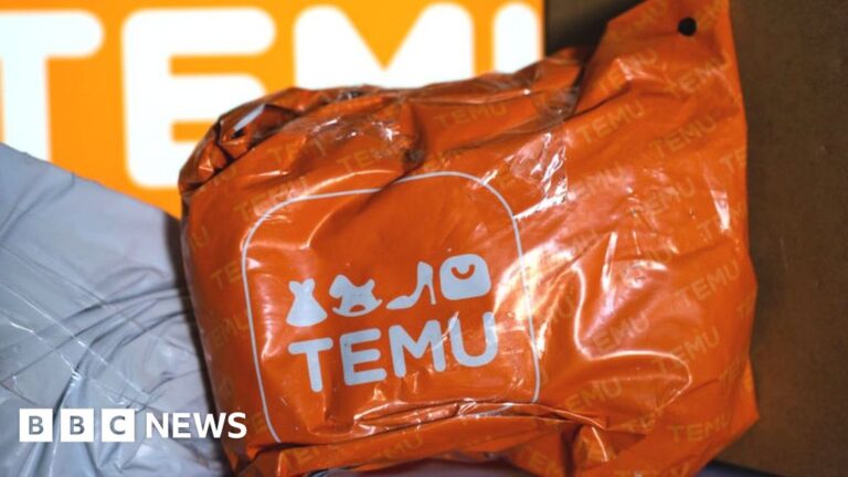 How Temu is shaking up the world of online shopping