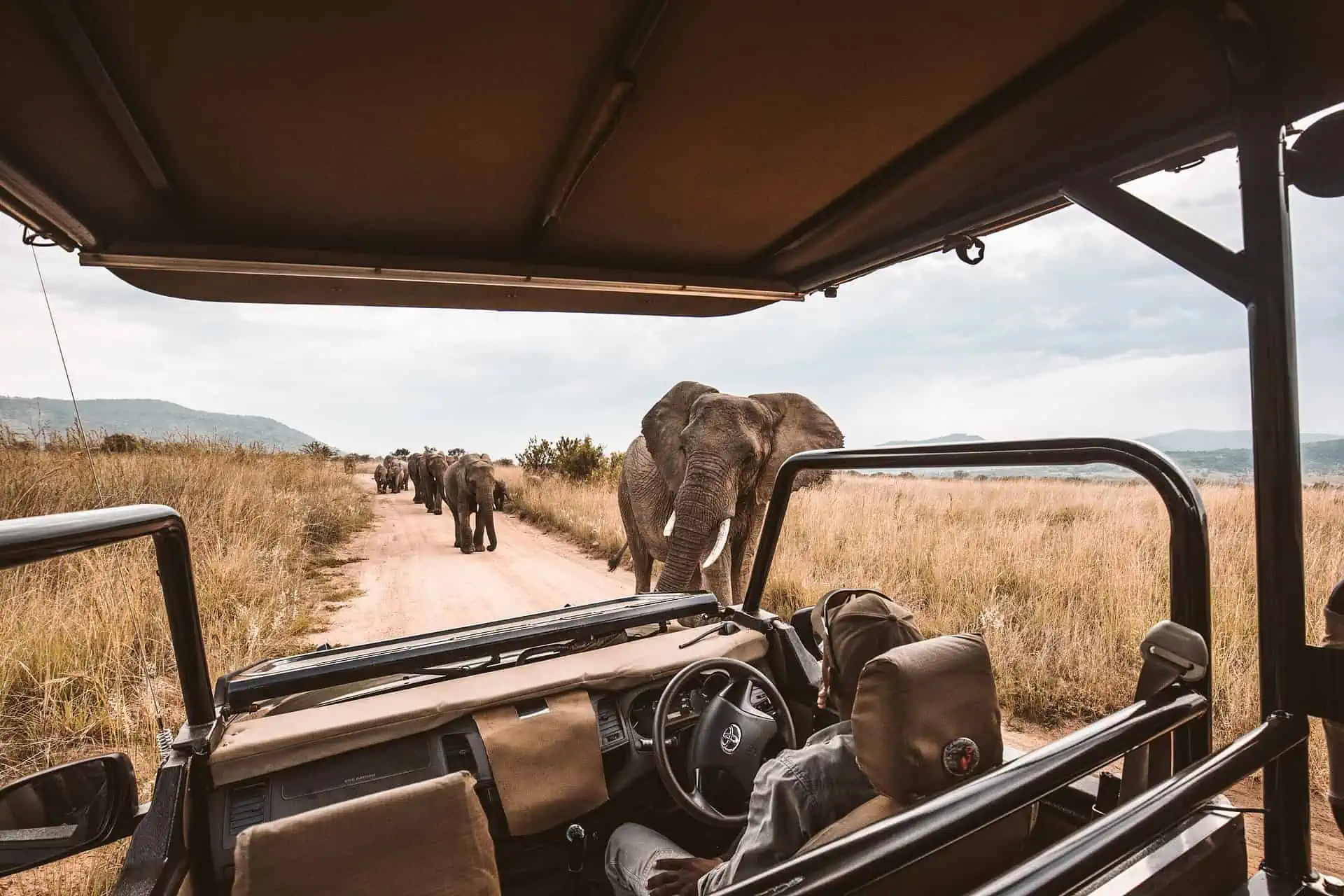 How Much Does a Uganda Safari Price?